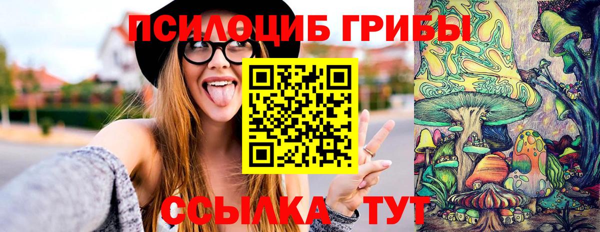 Псилоцибиновые грибы Cubensis  Вход с VPN  Тайшет  Псилоцибиновые грибы прущие грибы 