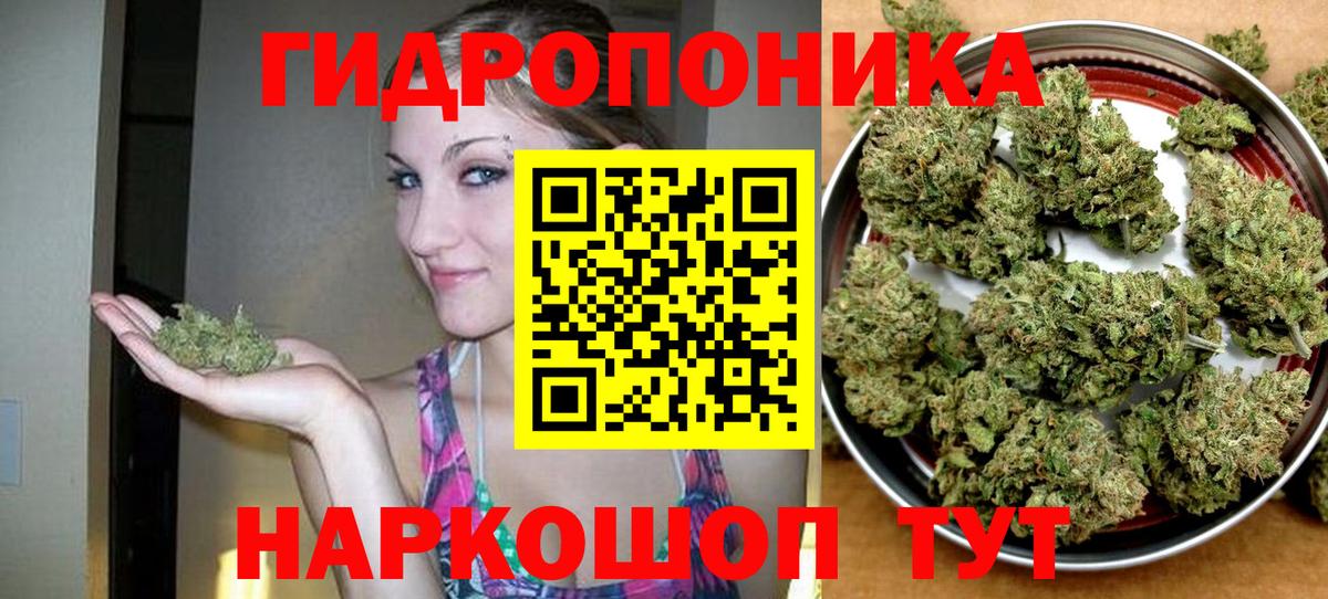 Бошки Шишки OG Kush Тайшет